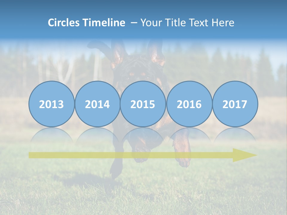 A Black And Brown Dog Jumping In The Air PowerPoint Template