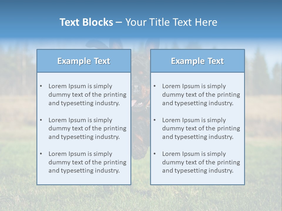 A Black And Brown Dog Jumping In The Air PowerPoint Template