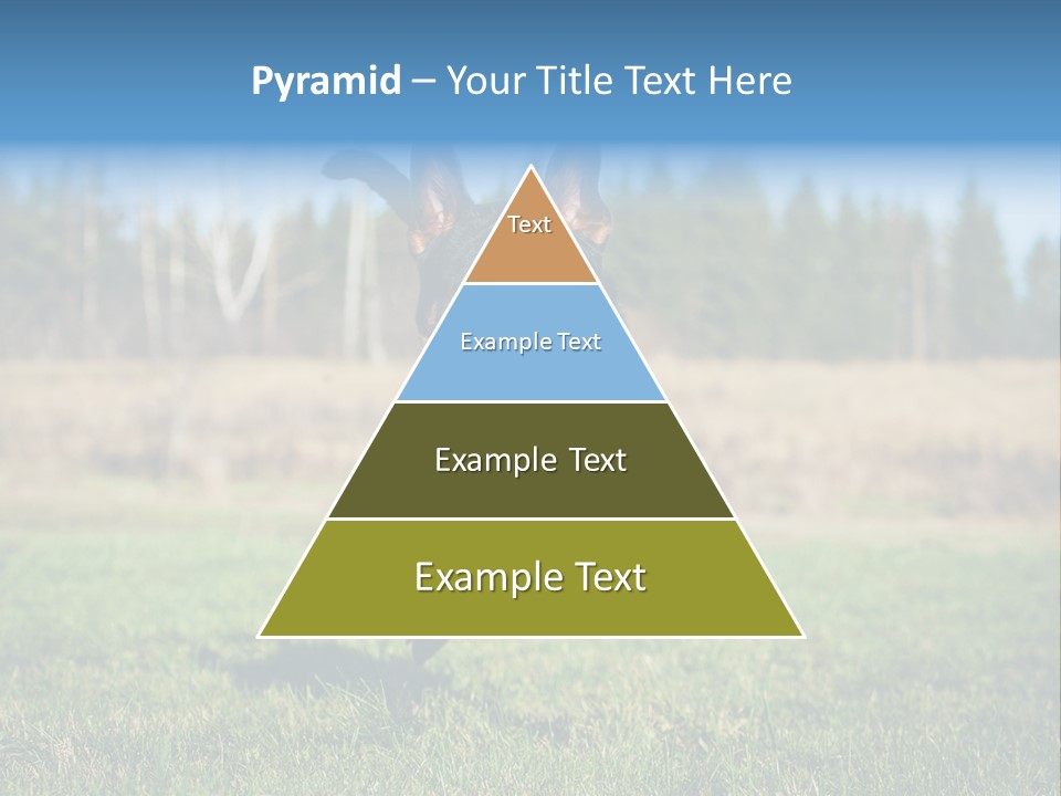 A Black And Brown Dog Jumping In The Air PowerPoint Template