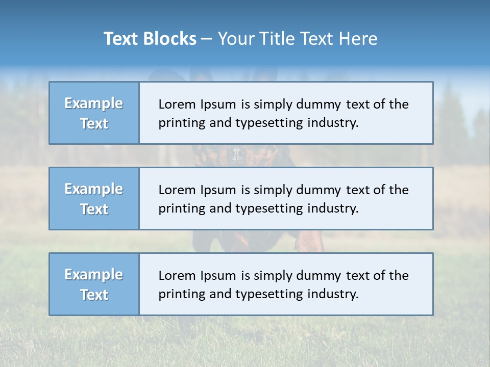 A Black And Brown Dog Jumping In The Air PowerPoint Template