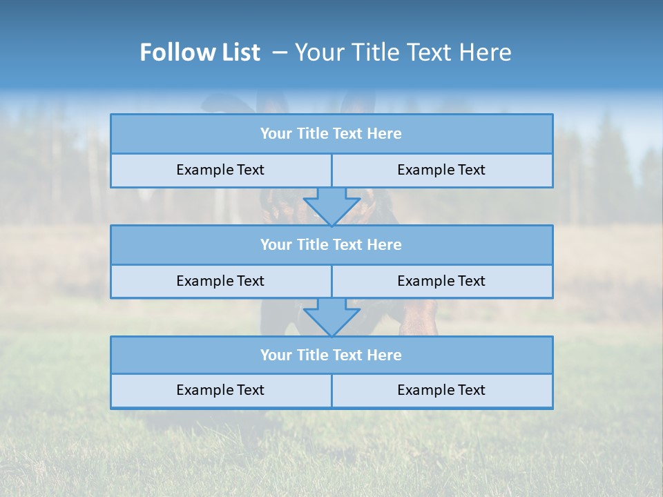 A Black And Brown Dog Jumping In The Air PowerPoint Template