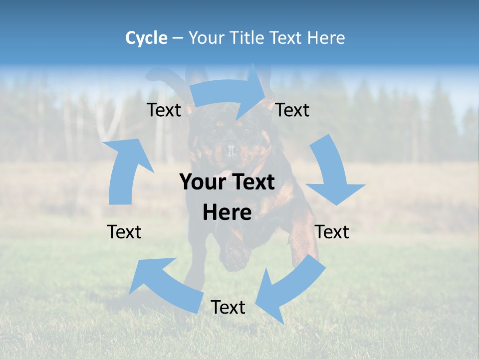 A Black And Brown Dog Jumping In The Air PowerPoint Template