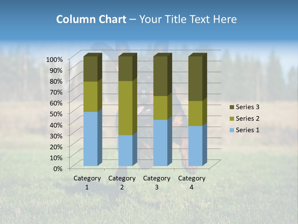 A Black And Brown Dog Jumping In The Air PowerPoint Template