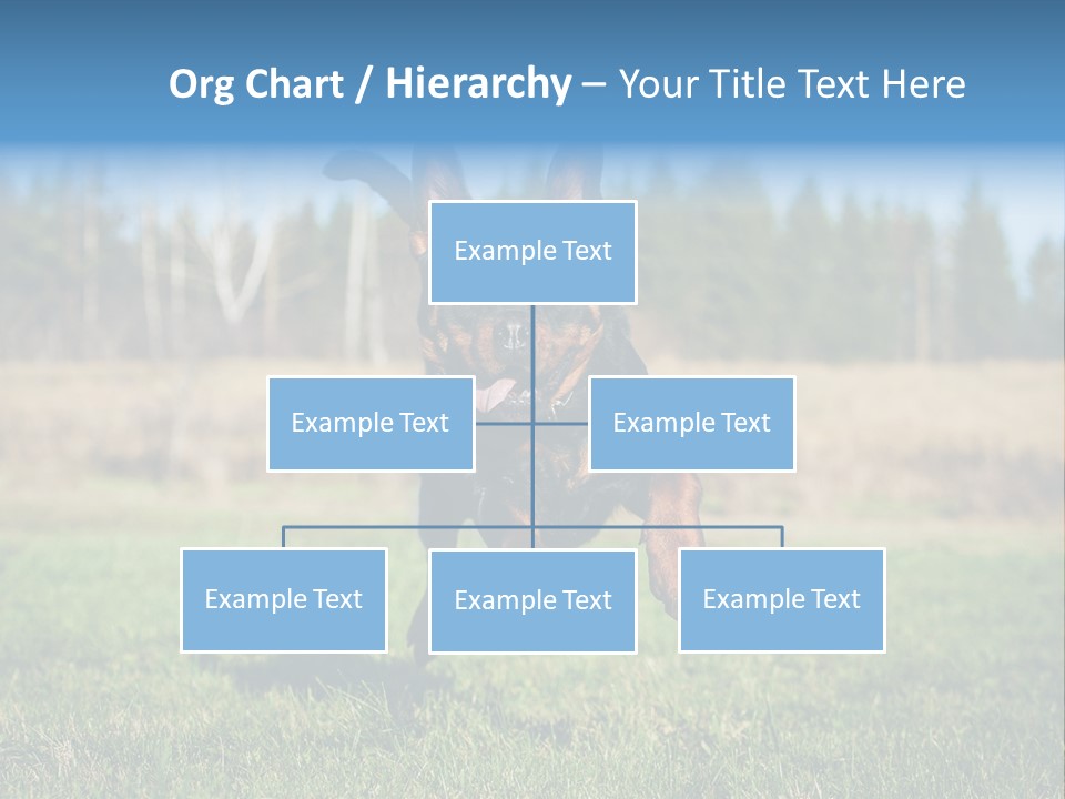 A Black And Brown Dog Jumping In The Air PowerPoint Template