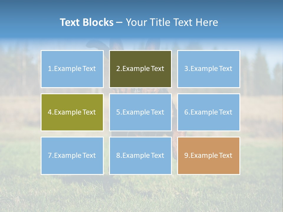 A Black And Brown Dog Jumping In The Air PowerPoint Template