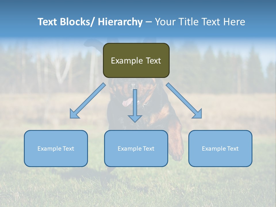 A Black And Brown Dog Jumping In The Air PowerPoint Template