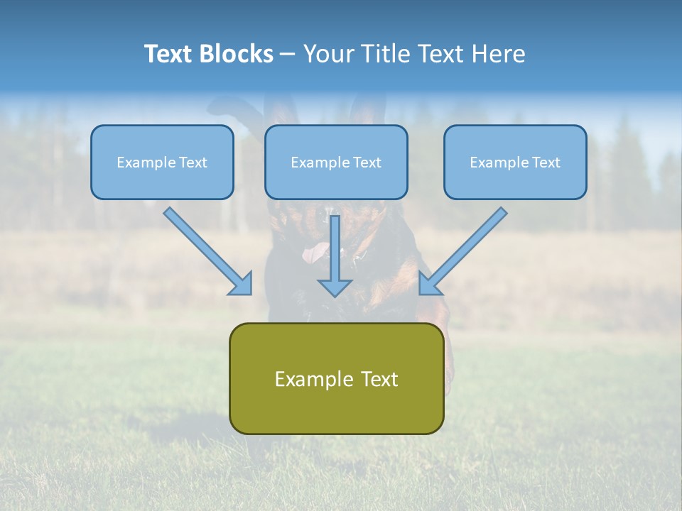 A Black And Brown Dog Jumping In The Air PowerPoint Template