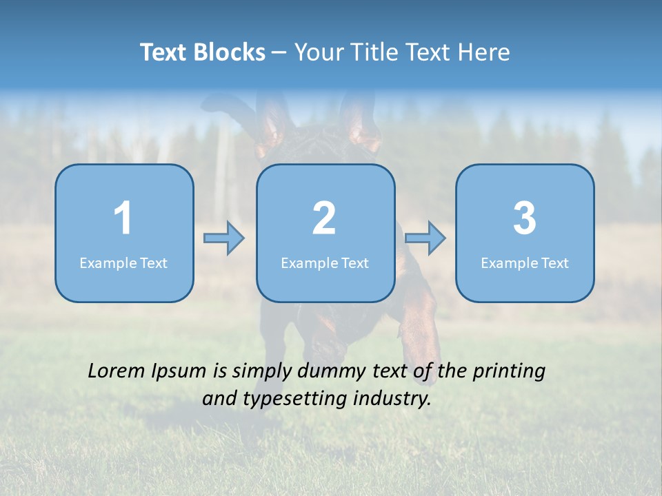 A Black And Brown Dog Jumping In The Air PowerPoint Template