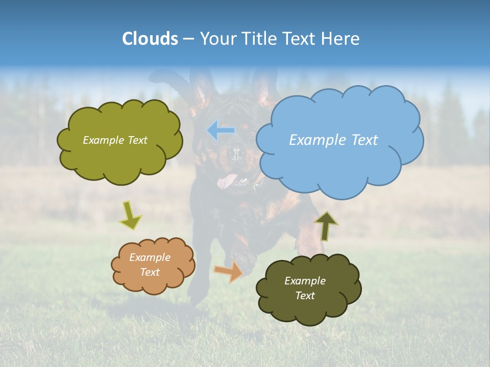 A Black And Brown Dog Jumping In The Air PowerPoint Template