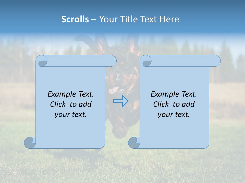 A Black And Brown Dog Jumping In The Air PowerPoint Template