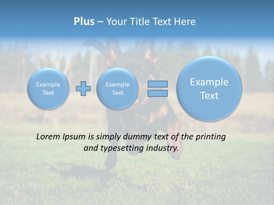 A Black And Brown Dog Jumping In The Air PowerPoint Template