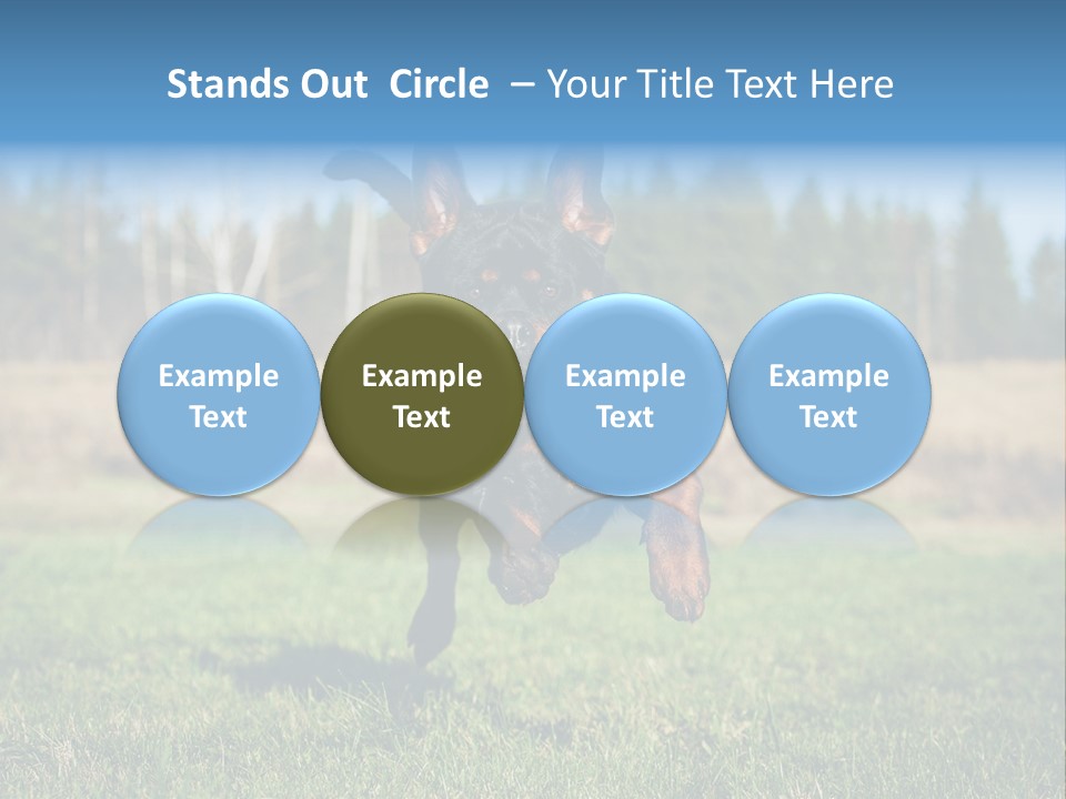 A Black And Brown Dog Jumping In The Air PowerPoint Template