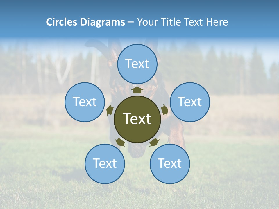 A Black And Brown Dog Jumping In The Air PowerPoint Template