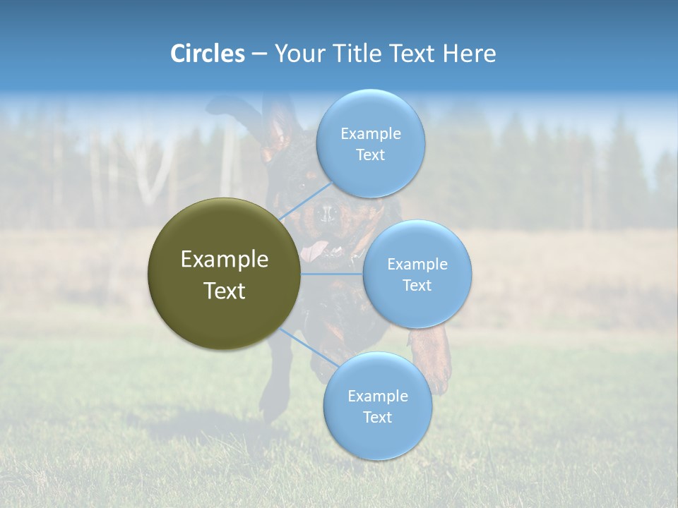 A Black And Brown Dog Jumping In The Air PowerPoint Template