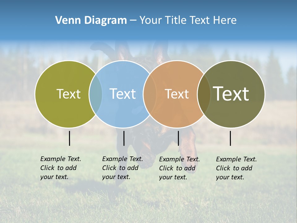 A Black And Brown Dog Jumping In The Air PowerPoint Template