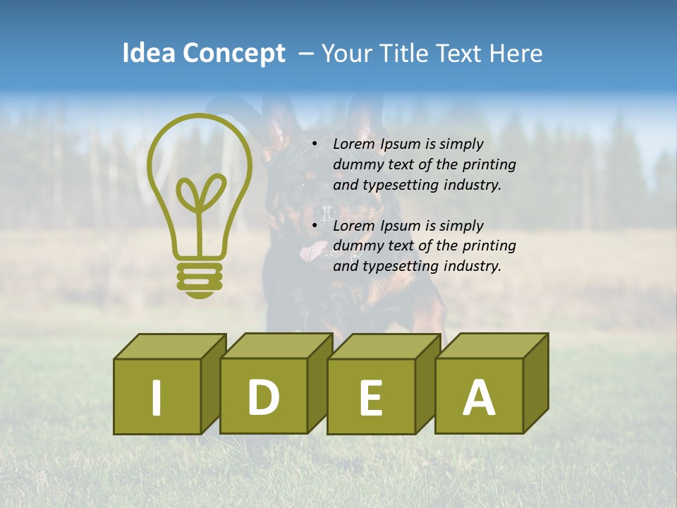 A Black And Brown Dog Jumping In The Air PowerPoint Template