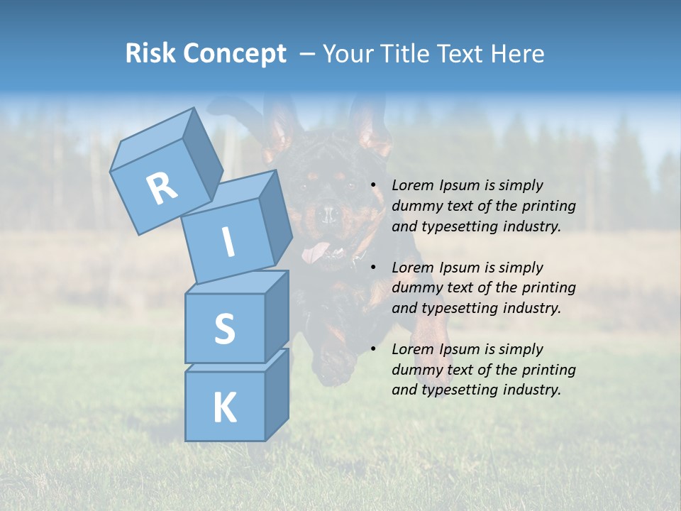 A Black And Brown Dog Jumping In The Air PowerPoint Template