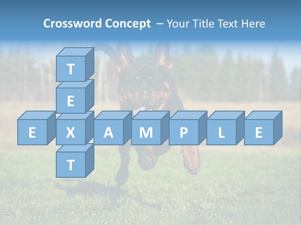 A Black And Brown Dog Jumping In The Air PowerPoint Template