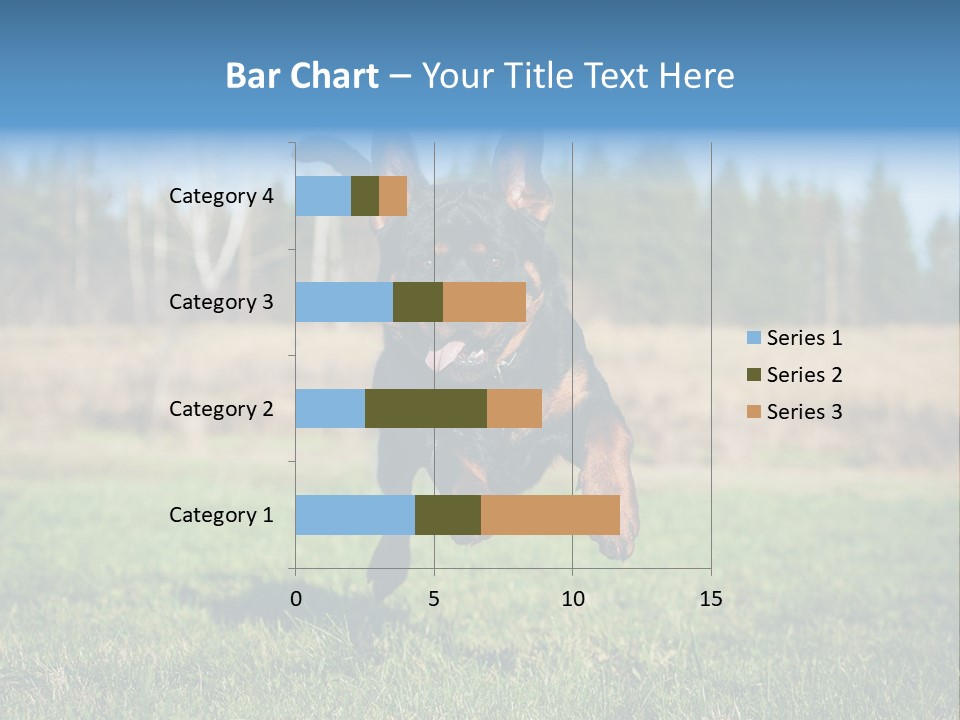 A Black And Brown Dog Jumping In The Air PowerPoint Template