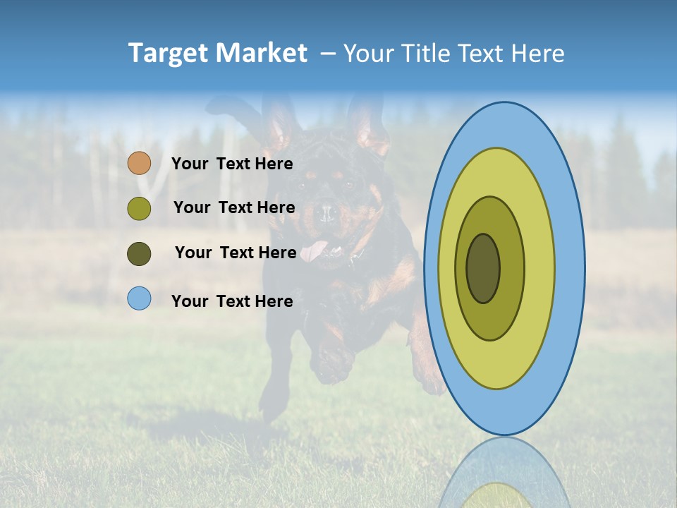 A Black And Brown Dog Jumping In The Air PowerPoint Template