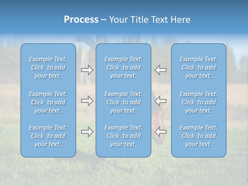 A Black And Brown Dog Jumping In The Air PowerPoint Template