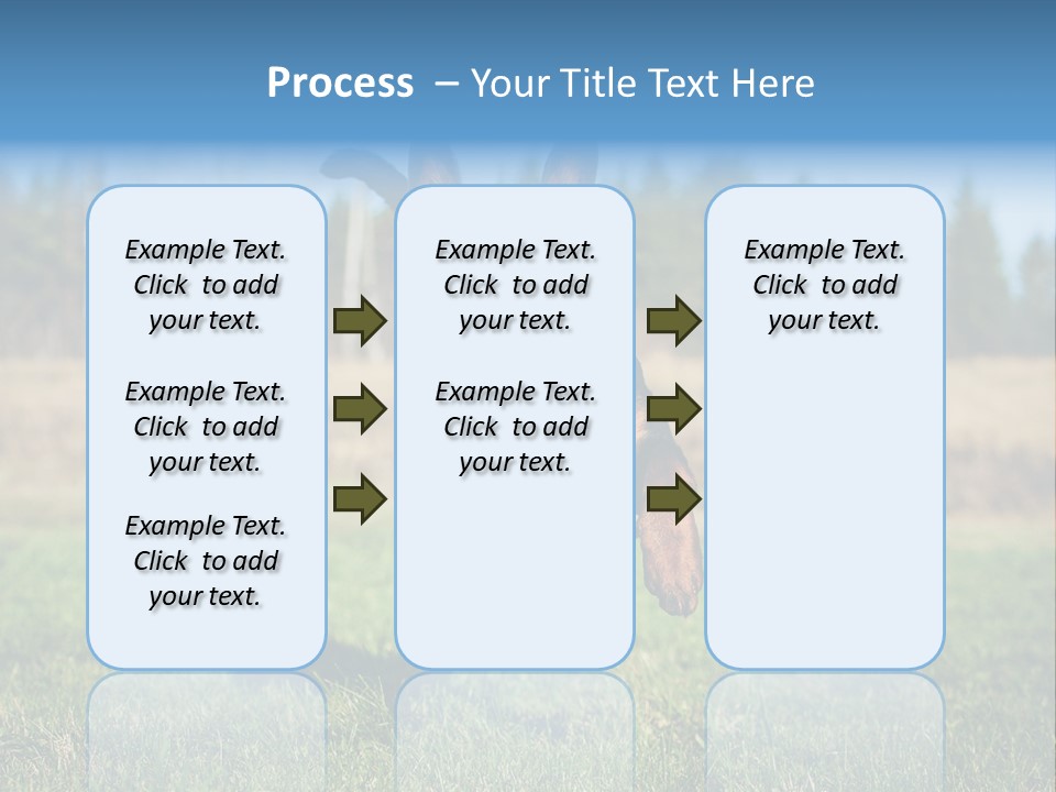 A Black And Brown Dog Jumping In The Air PowerPoint Template