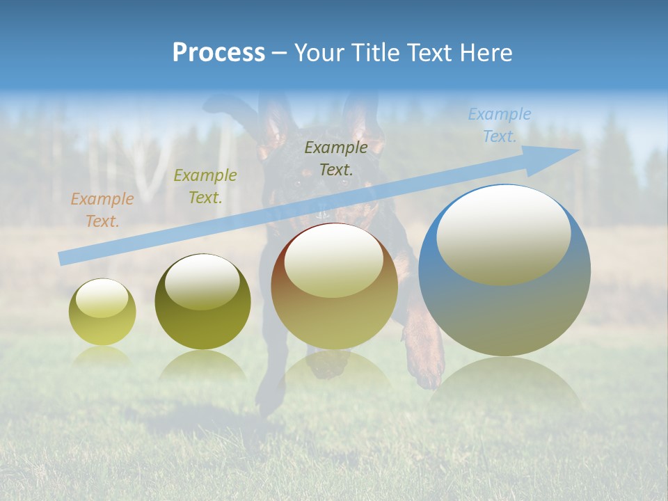 A Black And Brown Dog Jumping In The Air PowerPoint Template