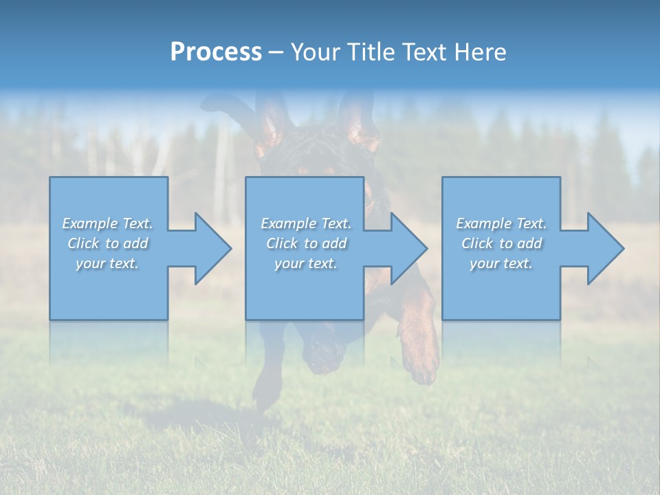 A Black And Brown Dog Jumping In The Air PowerPoint Template