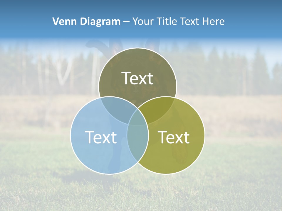 A Black And Brown Dog Jumping In The Air PowerPoint Template