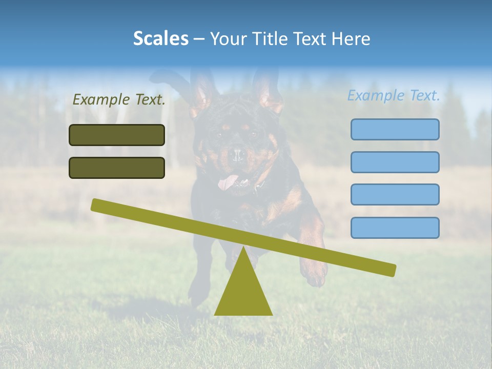 A Black And Brown Dog Jumping In The Air PowerPoint Template