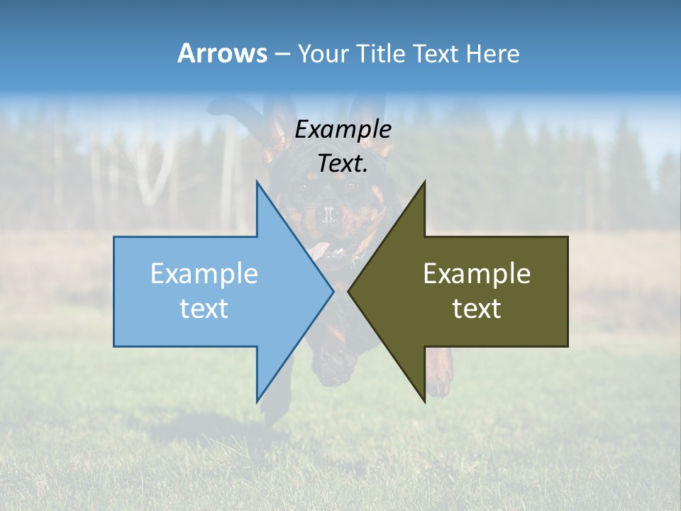 A Black And Brown Dog Jumping In The Air PowerPoint Template