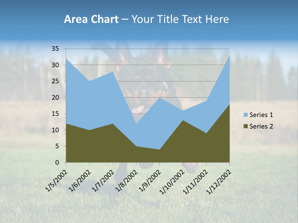 A Black And Brown Dog Jumping In The Air PowerPoint Template