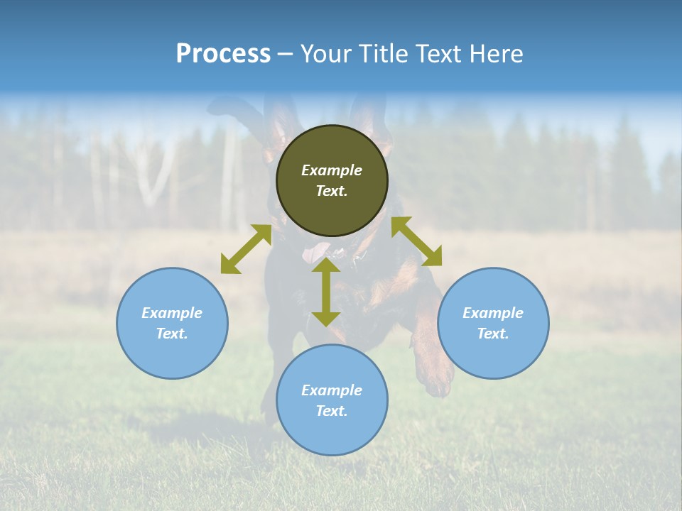 A Black And Brown Dog Jumping In The Air PowerPoint Template