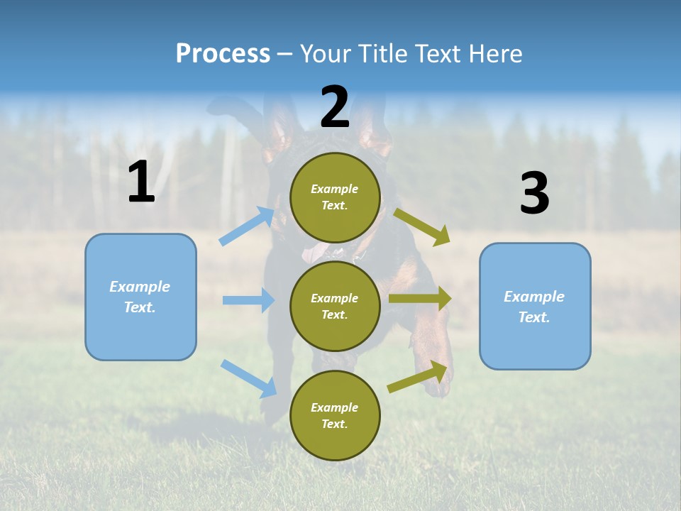 A Black And Brown Dog Jumping In The Air PowerPoint Template