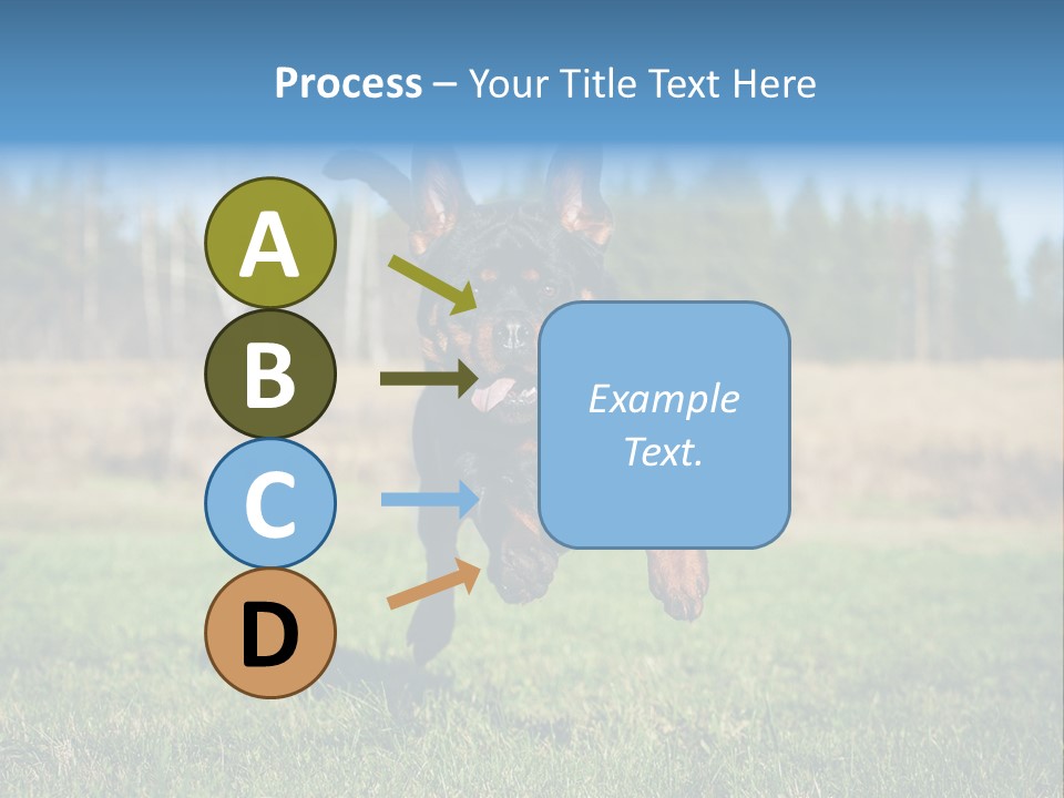 A Black And Brown Dog Jumping In The Air PowerPoint Template