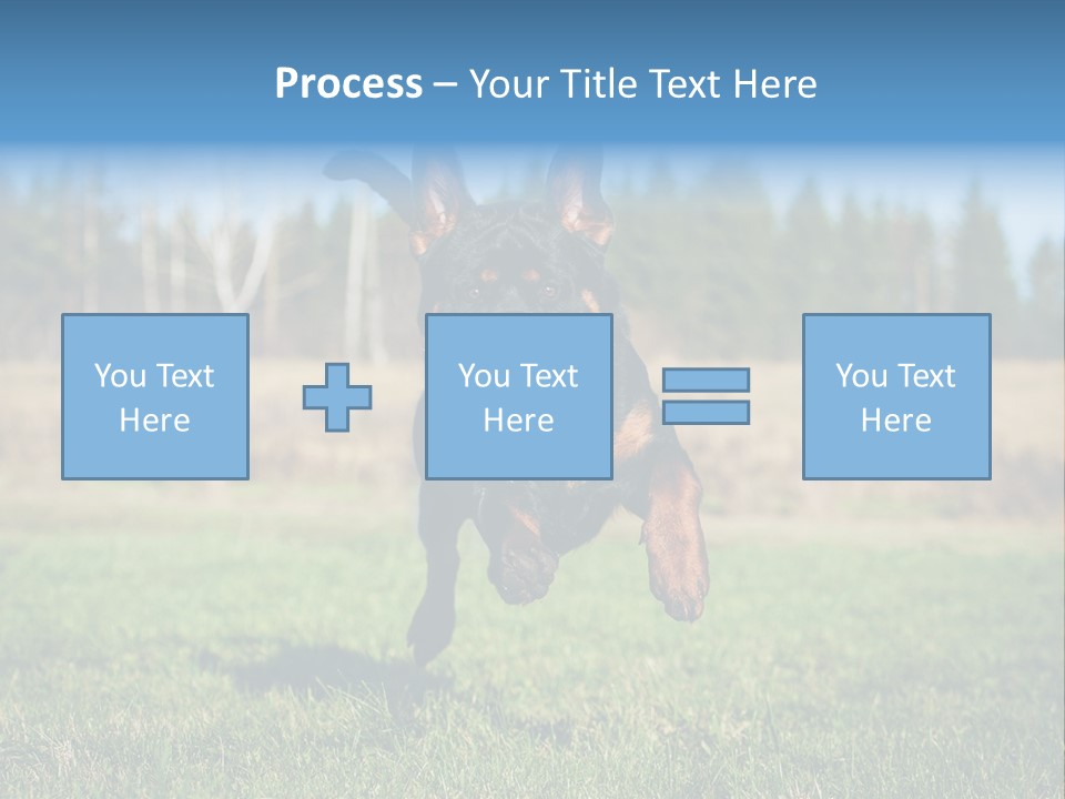 A Black And Brown Dog Jumping In The Air PowerPoint Template