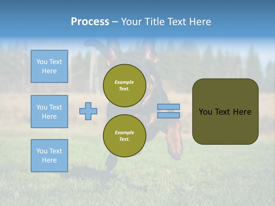 A Black And Brown Dog Jumping In The Air PowerPoint Template