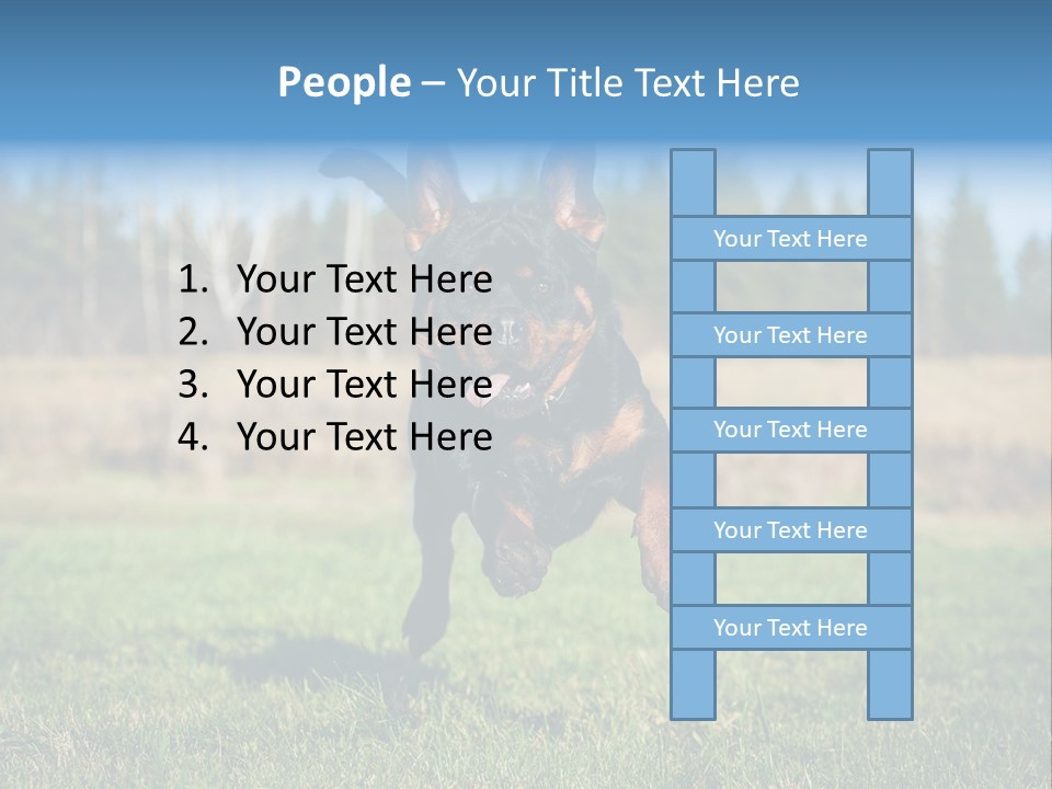 A Black And Brown Dog Jumping In The Air PowerPoint Template