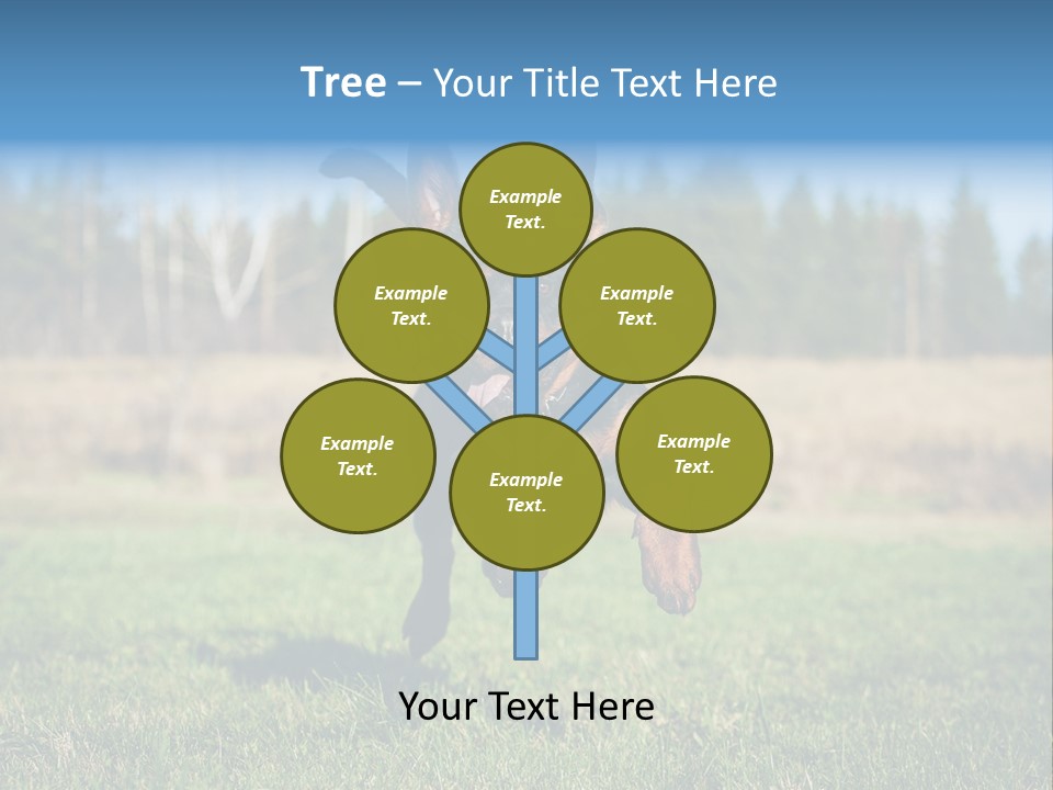 A Black And Brown Dog Jumping In The Air PowerPoint Template