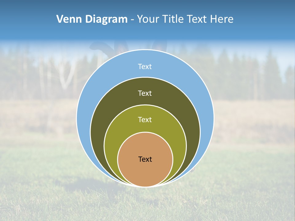 A Black And Brown Dog Jumping In The Air PowerPoint Template