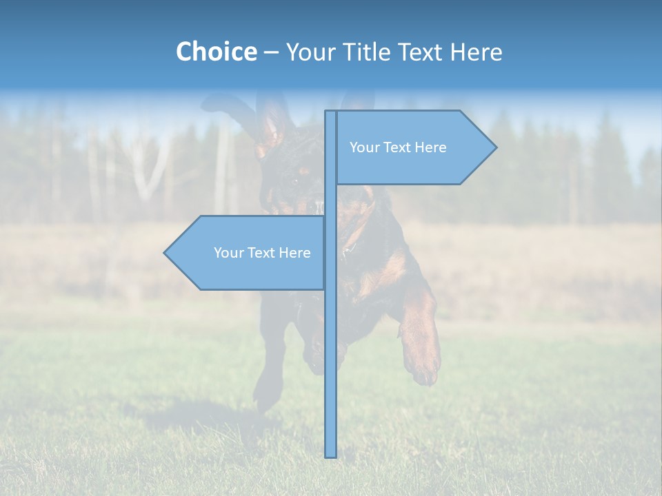 A Black And Brown Dog Jumping In The Air PowerPoint Template