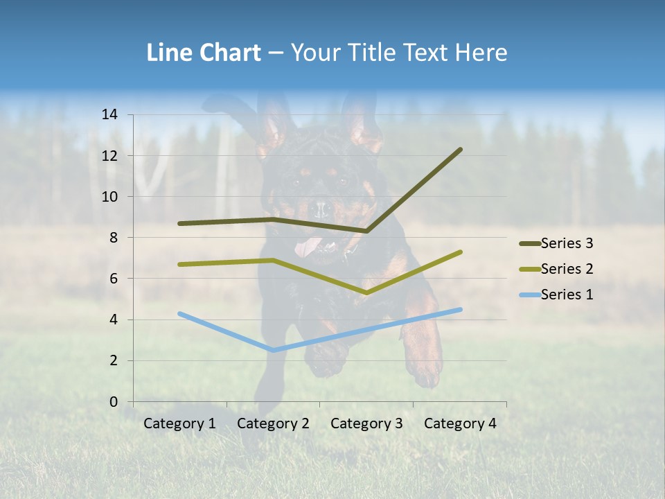 A Black And Brown Dog Jumping In The Air PowerPoint Template