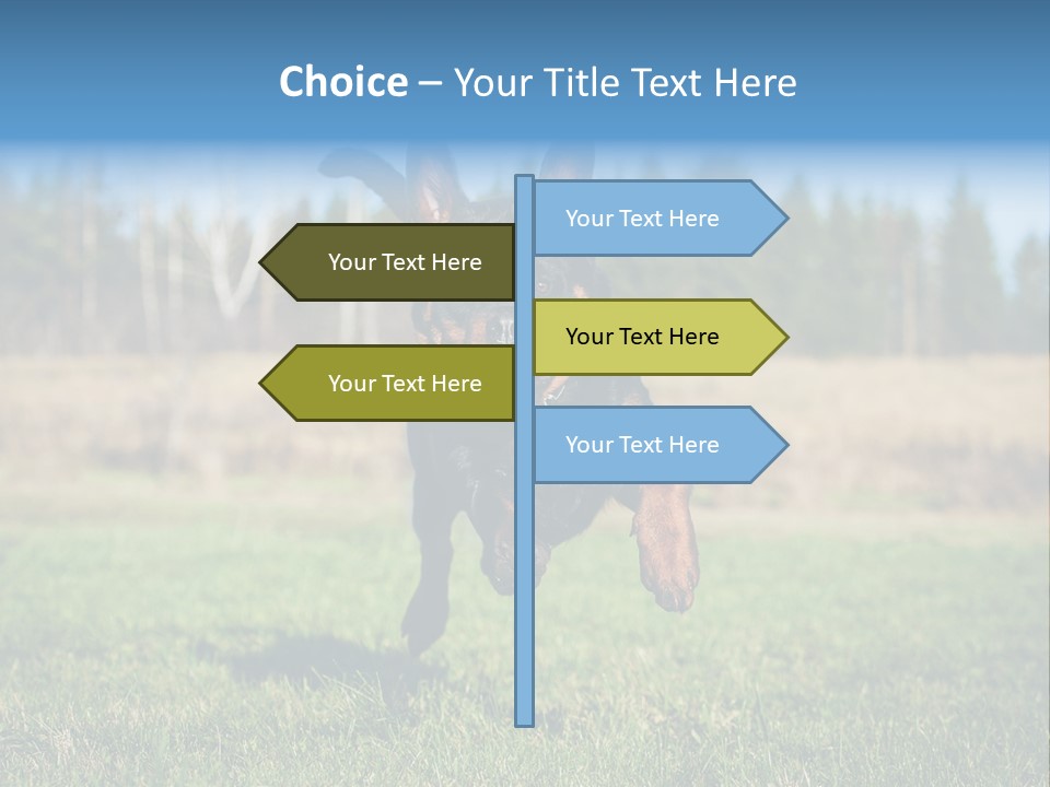 A Black And Brown Dog Jumping In The Air PowerPoint Template