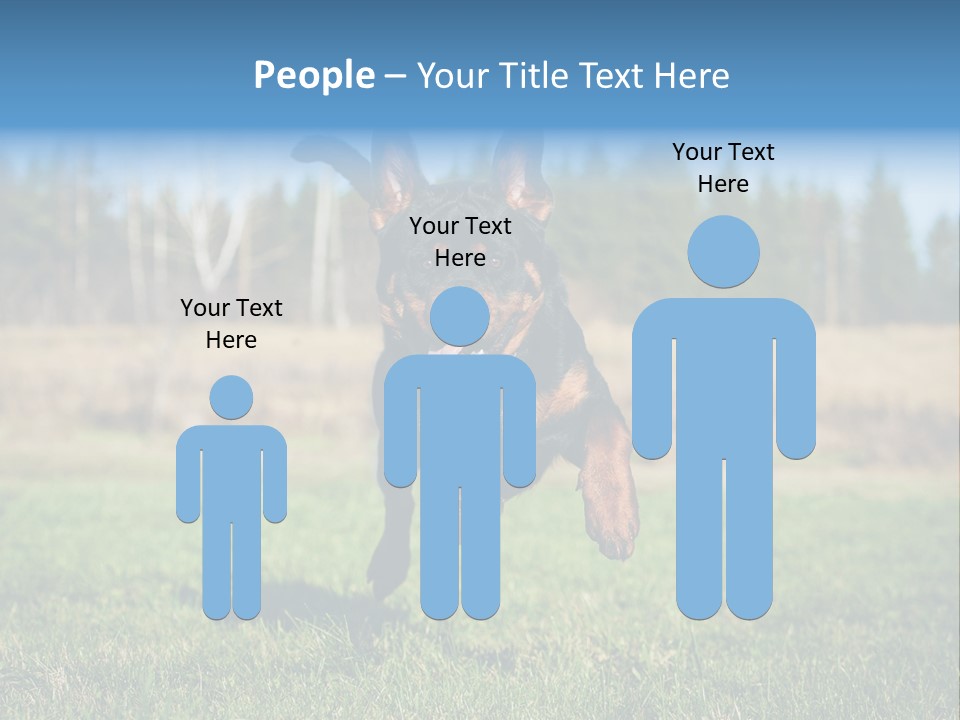 A Black And Brown Dog Jumping In The Air PowerPoint Template