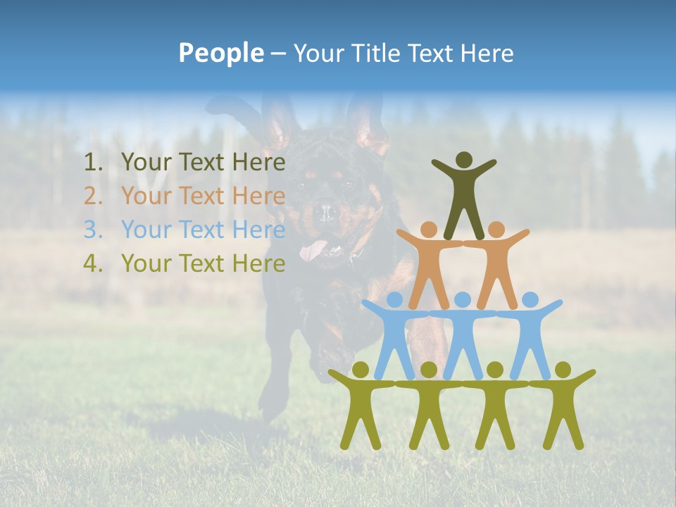 A Black And Brown Dog Jumping In The Air PowerPoint Template