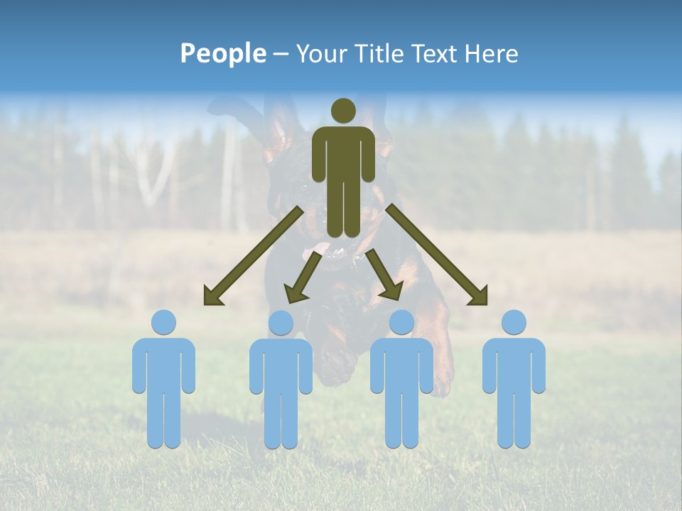 A Black And Brown Dog Jumping In The Air PowerPoint Template