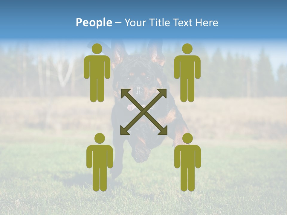 A Black And Brown Dog Jumping In The Air PowerPoint Template