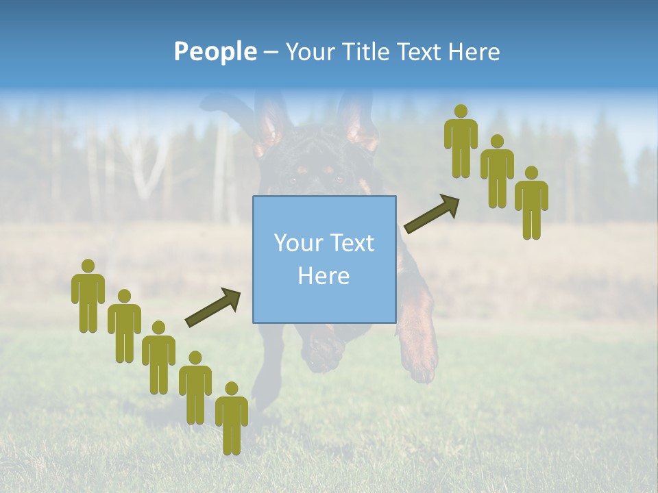 A Black And Brown Dog Jumping In The Air PowerPoint Template