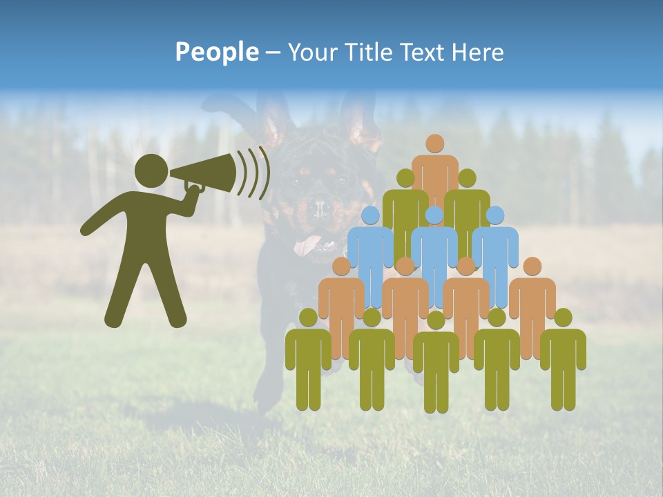 A Black And Brown Dog Jumping In The Air PowerPoint Template