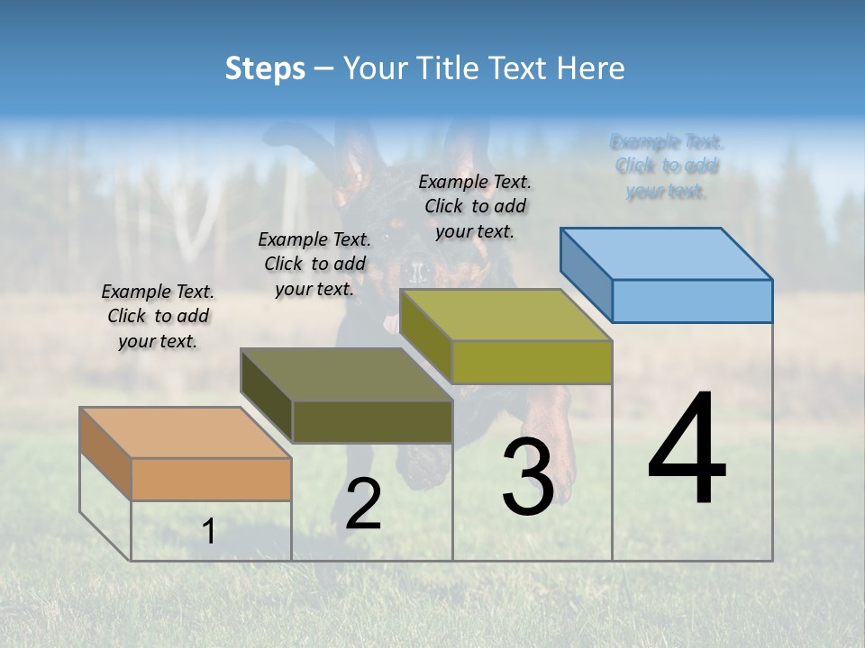 A Black And Brown Dog Jumping In The Air PowerPoint Template